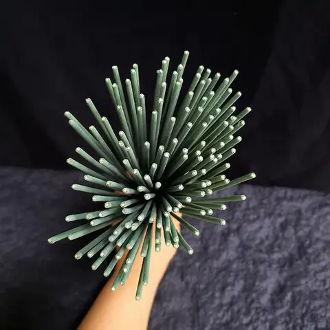 थोक बिक्री 22 सेमी / 8.66 इंच सफेद ऋषि धूप छड़ें यागा ध्यान होटल घर बांस छड़ी धूप के लिए साफ और कम पाउडर 10 best sales सफेद ऋषि - №9