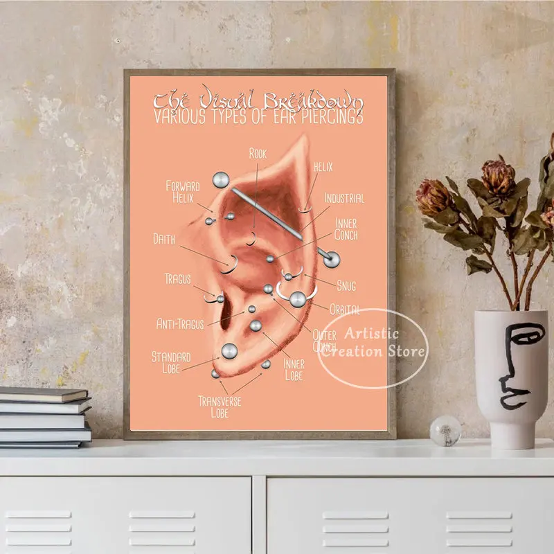 Vintage Elven Med Ear Piercing Chart Infographics and Charts Poster Canvas Painting Wall Picture Foe Living Room Wall Home Decor