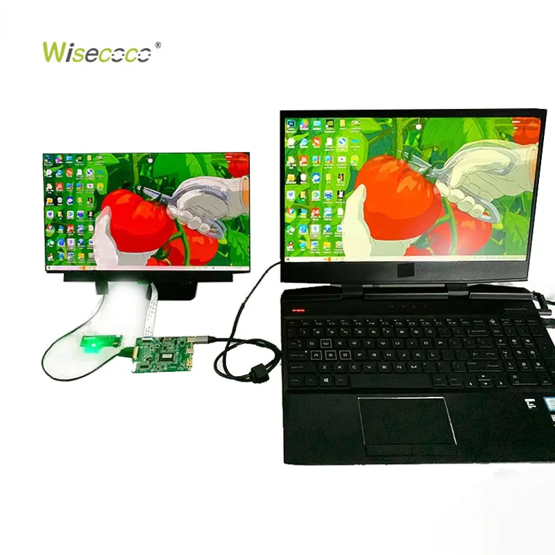 Wisecoco Ultra Thin and Light in Weight FHD 13.3 Inch Oled Panel 1920*1080 Ips Touch Optional Full-Featured Usb-C Amoled Display