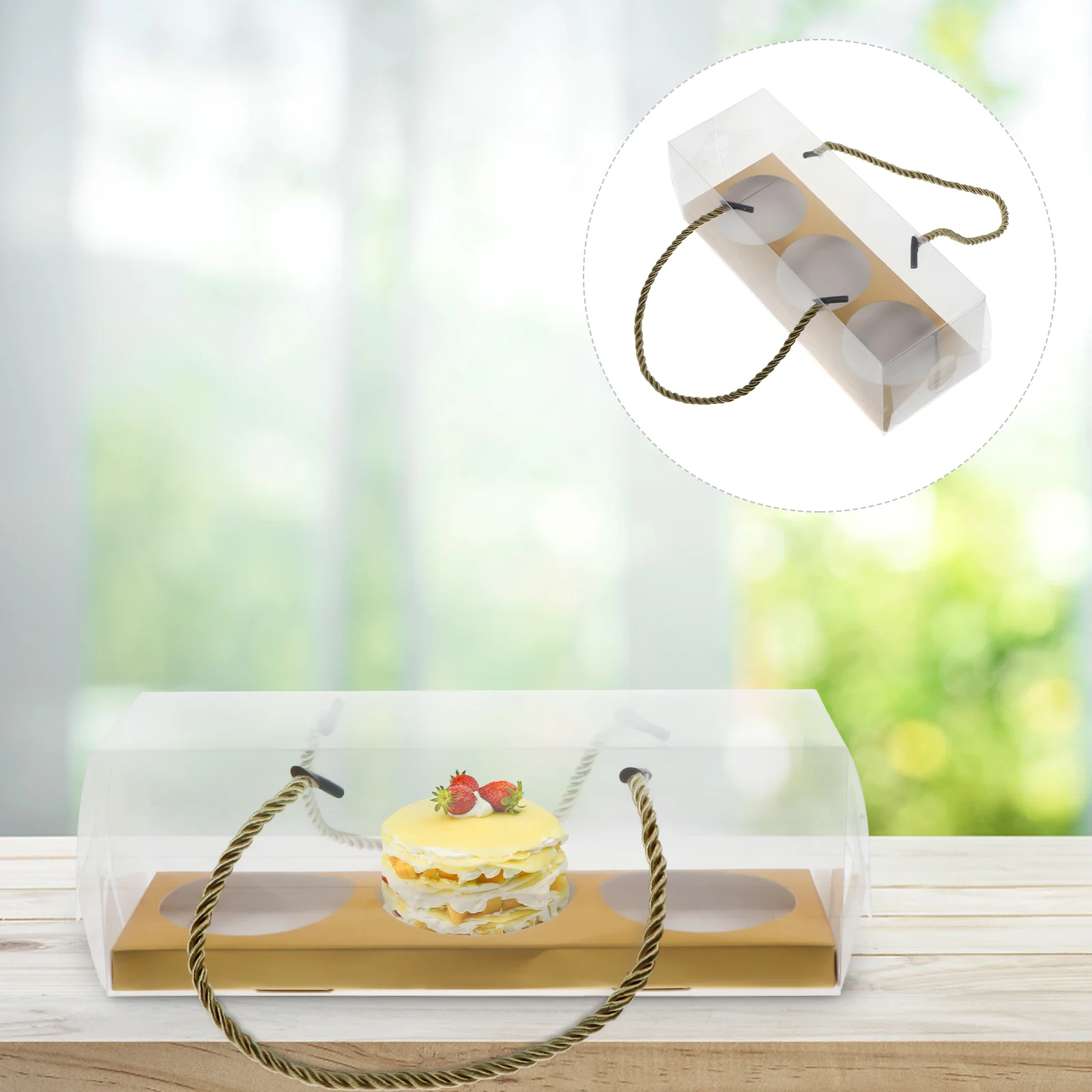 

10 Pcs Baked Cake Box Mini Gift Bags Boxes Bride Food Containers with Lids Clear