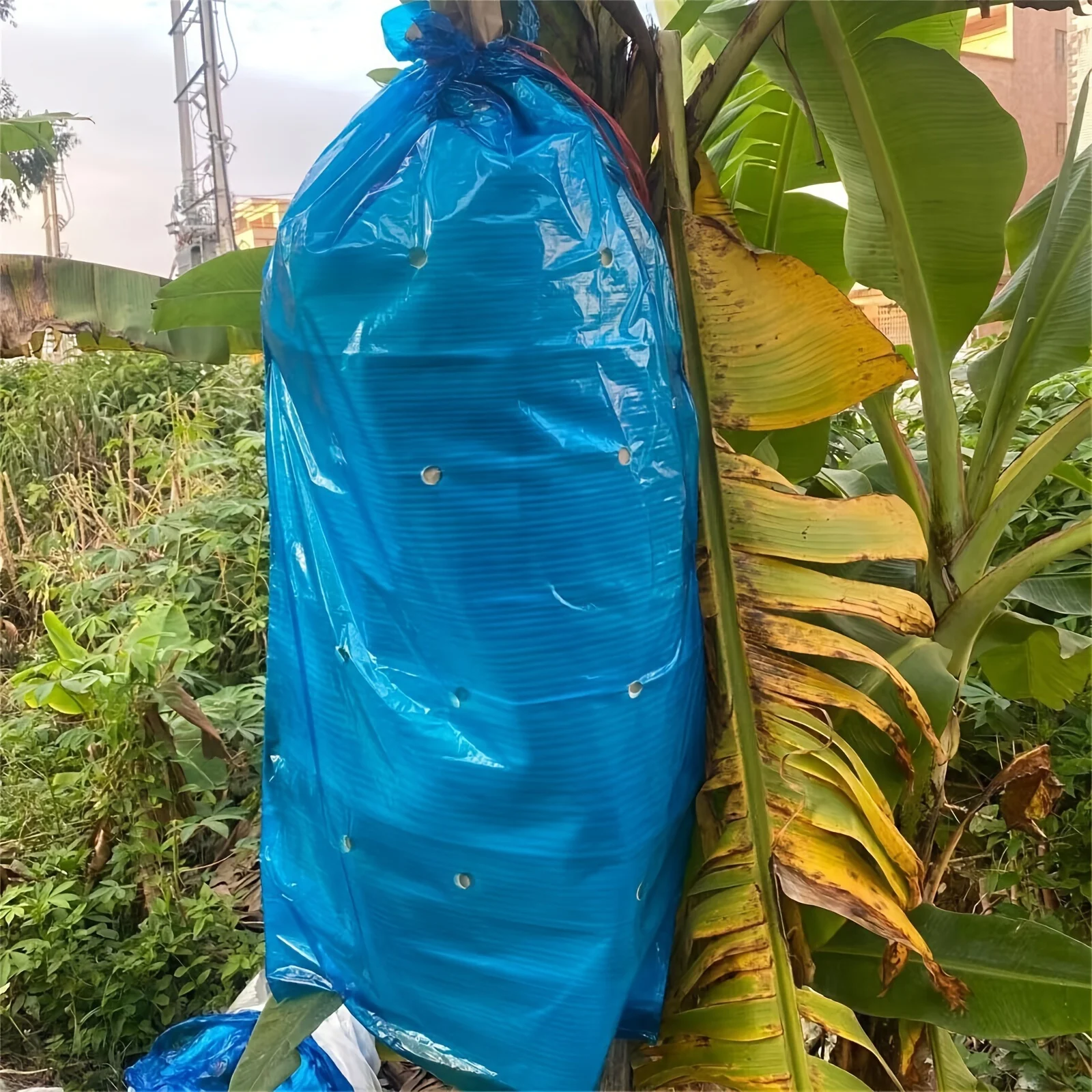 5pcs Banana Grow Bag Netting Barrier Banana Ripen Bag Reusable Produce Protective Rainproof Bag Fruit Rain-proof Bananas Winter