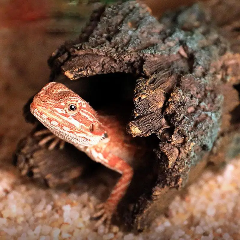 Immagine 6: Rettile nascondi grandi Cave rettile Hideouts Cave Habitat Shelter Decor per serpenti tartaruga lucertole pesce anfibi piccoli animali