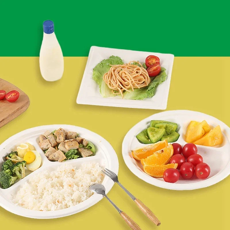 Biodegradable Dispo…