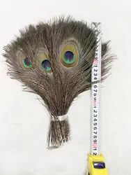 天然孔雀の羽,25-30cm,家,ホテル,工芸品の装飾用の10〜12インチ