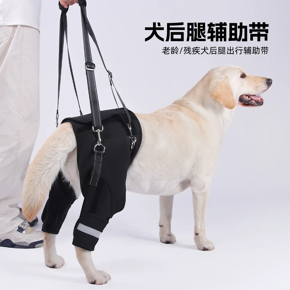 Dog hind leg assist belt, elderly dog disabled dog rehabilitation travel, hind leg pull leash