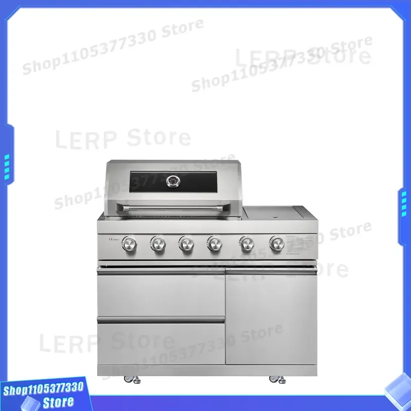 Modern Heavy Duty Stainless Steel Gas Grill For Outdoor Camping Family BBQ Grilling Factory Designed Durable Cooking