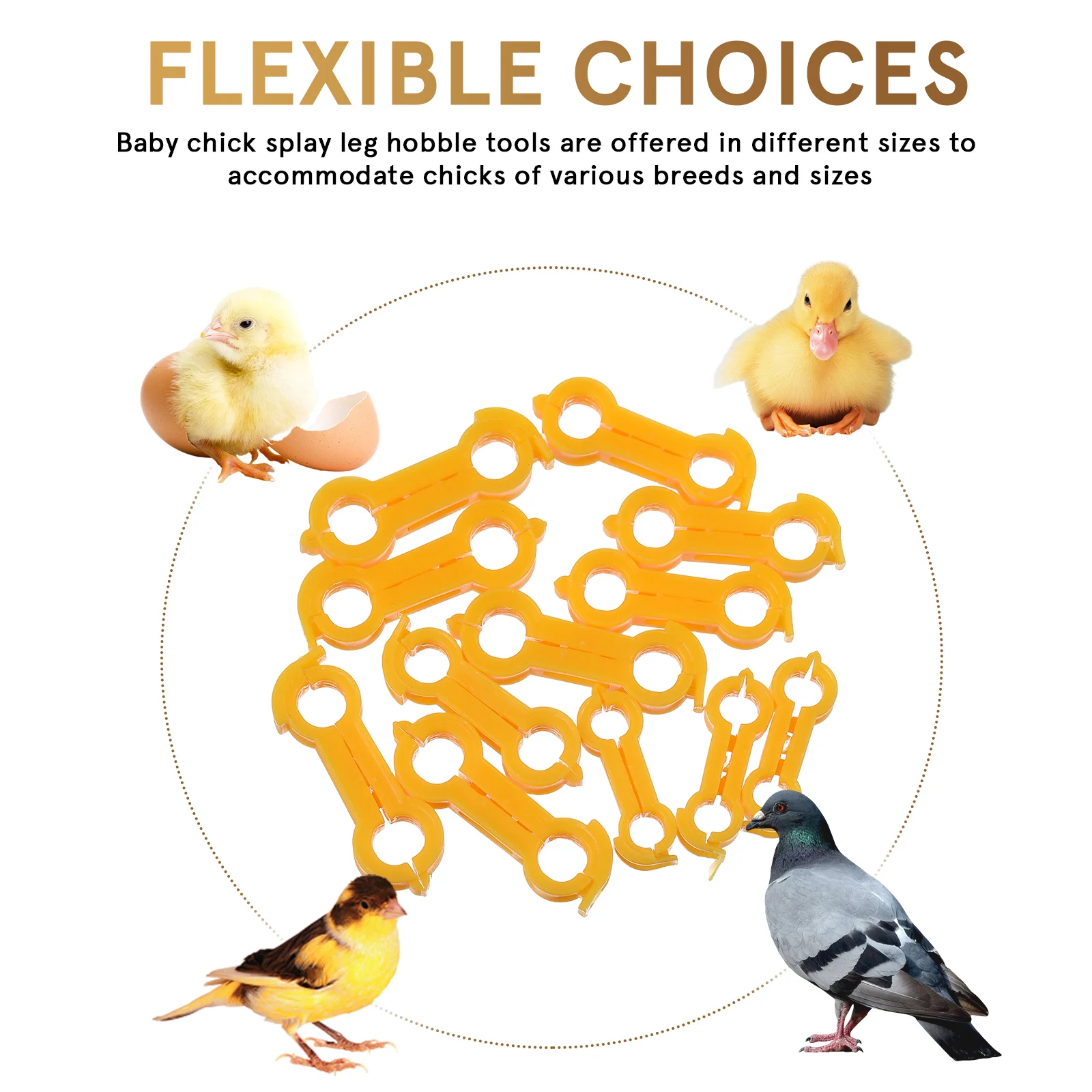 

15 Pcs Bracket Chicken Foot Corrector Newborn Labels Pvc Hobbler Leg Correction Band