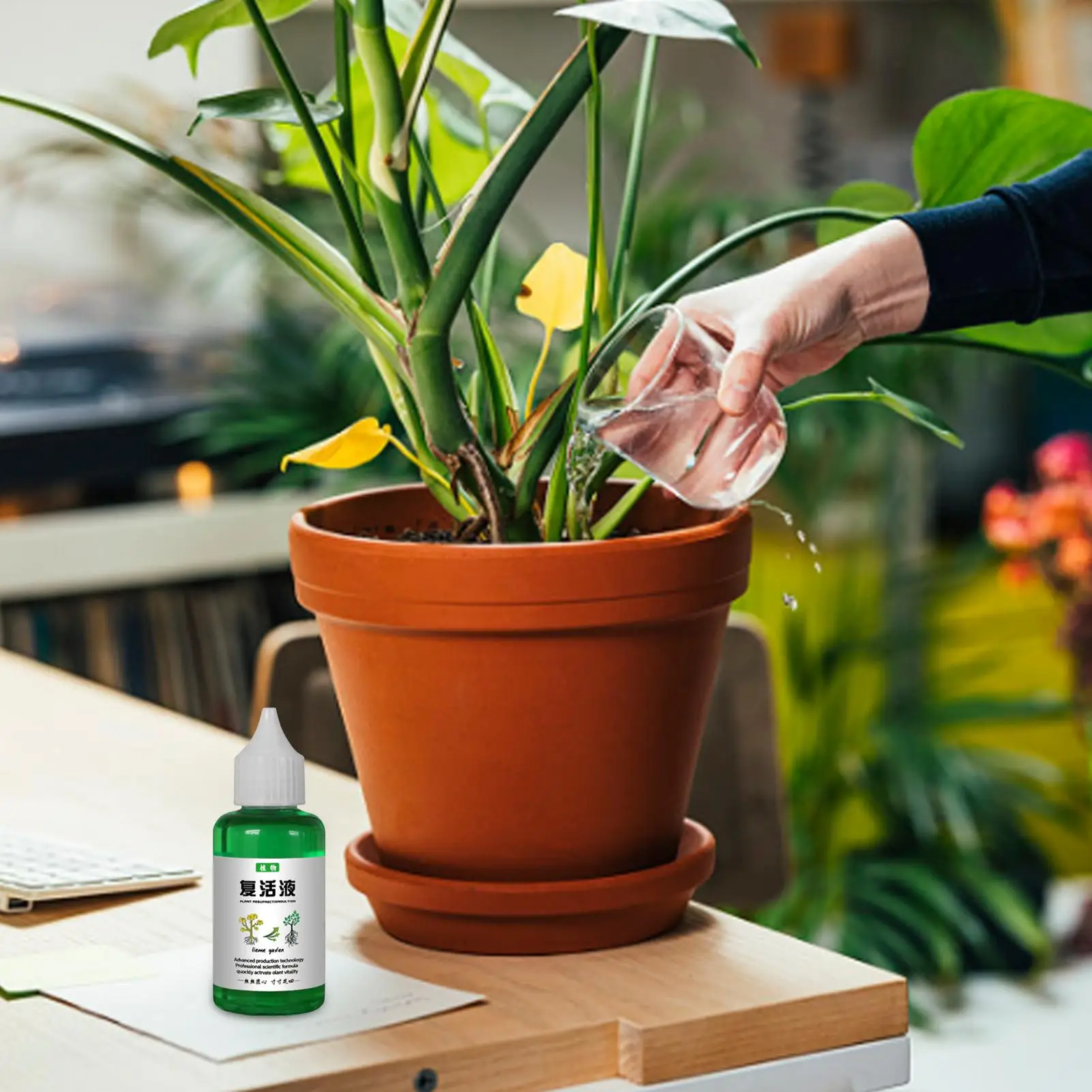 50 مللي قيامة النبات السائل زهرة الفاكهة الخضار الأسمدة المغذيات الحل الأوركيد الأسمدة يعزز صحي وقوي #2