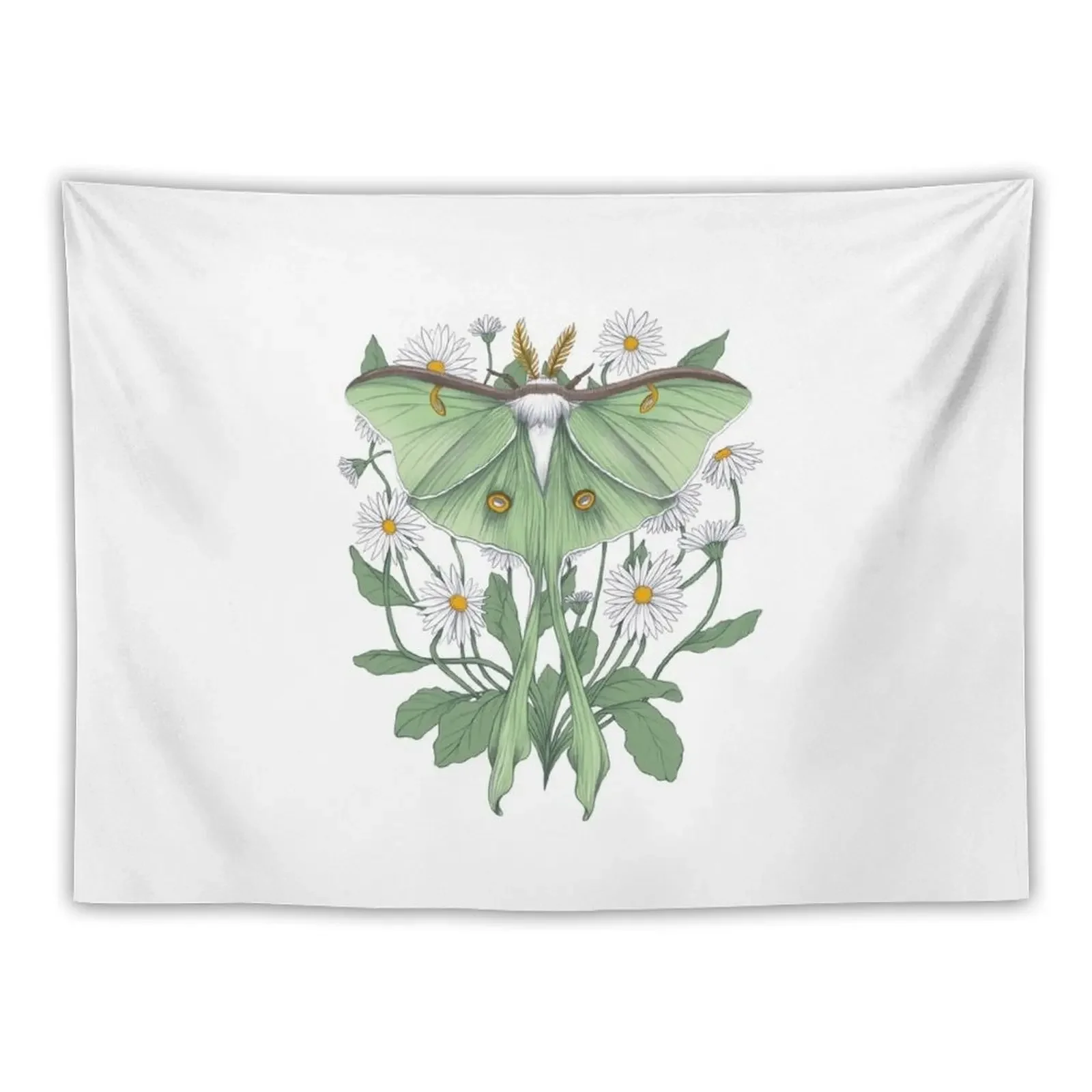 Metamorphosis Tapestry Aesthetic Room Decorations Room Design Tapestry