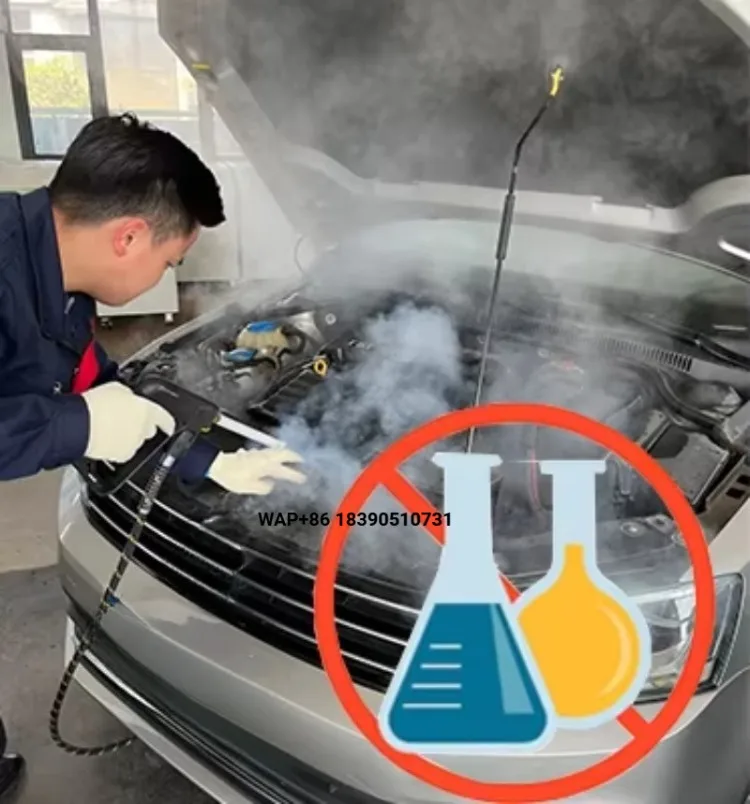 Stainless Steel Optima Steam Car Wash Machine High Pressure Car Interior Cleaning for Hard to Wash Area Chemical Free