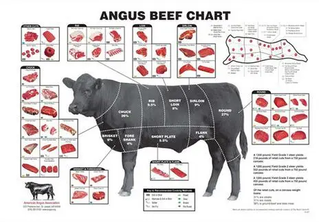 Lot style Choose Cattle Butcher Chart Beef Cuts Animal Diagram Meat, Art print Silk poster, Home Wall Decor