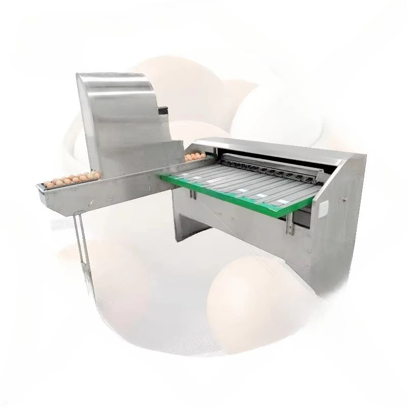 Customized Poultry Egg Sorting Machine Automatic Chicken Duck Goose Egg Grader Machine For All Kinds Of Poultry Eggs