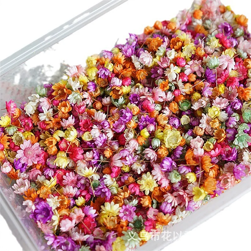 140 Pz/borsa Fiori Secchi Multicolor Mini Fiori Secchi FAI DA TE arte artigianale candela che fa Fiori Asciutti in rilievo per la decorazione del