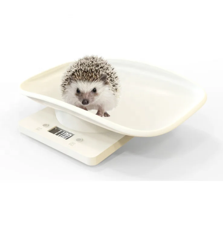 

High Precisions Pet Weighing Scale Guinea Pig Weighing Scales Digital Portable Pet Scale