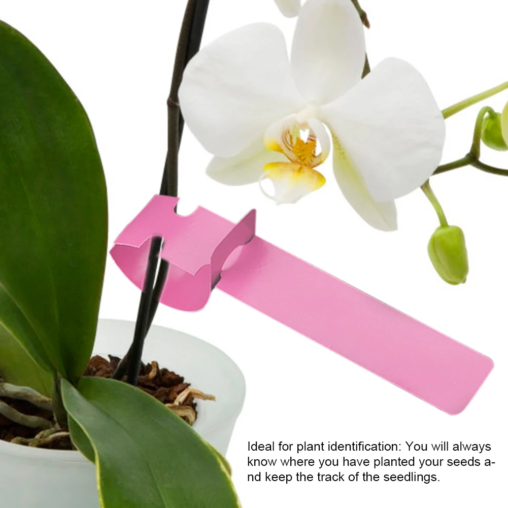 100 Stuks Plant Markers Plastic Kinderkamer Tuin Decor Inzet Tags Plant Labels Gazon Ornament