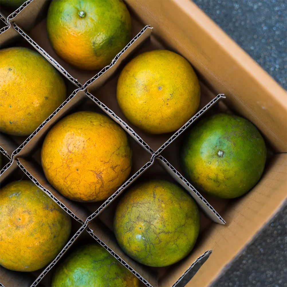 4 set Heavy Duty Corrugated Shipping Inserts 16-Compartment Box Dividers For Glassware Plates Electronics Moving Packing