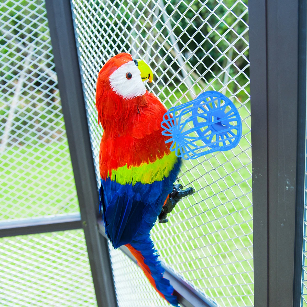 

5Pcs Plastic Bird Food Basket Moisture Resistant Durable Holder for Parrot Budgie Cockatiel Parrot Food Basket