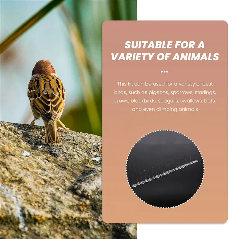 ABJN-10 Pcs/Box Bird Spikes, Stainless Steel Bird Deterrent Spikes Cover For Fence Railing Walls Roof Yard