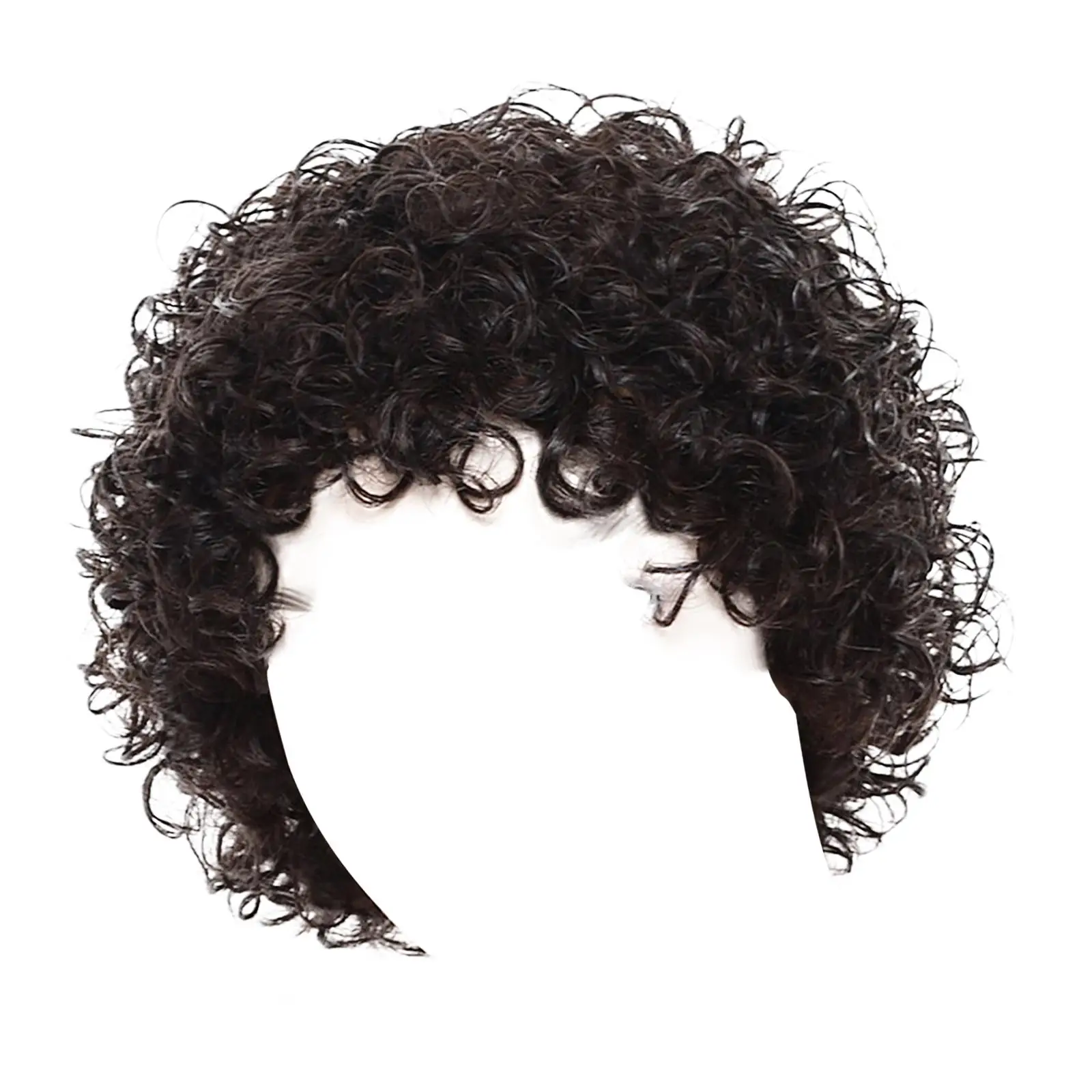 Afro Curly Wig Short Loose Curly Wig, Fashion Jerry Curly Wig Human Hair Wig for Work Party Birthday Halloween Cosplay