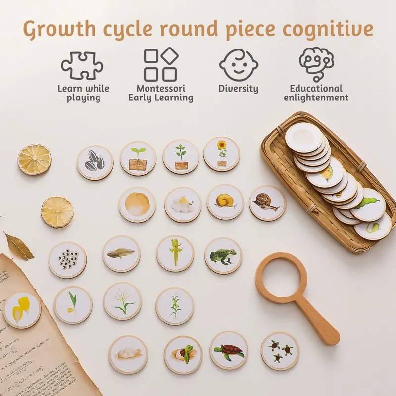 Baby Wooden Montessori Toys Animal Life Cycle Cognition Wooden Board Infant Toy Early Educational Baby Training Toy Game Product