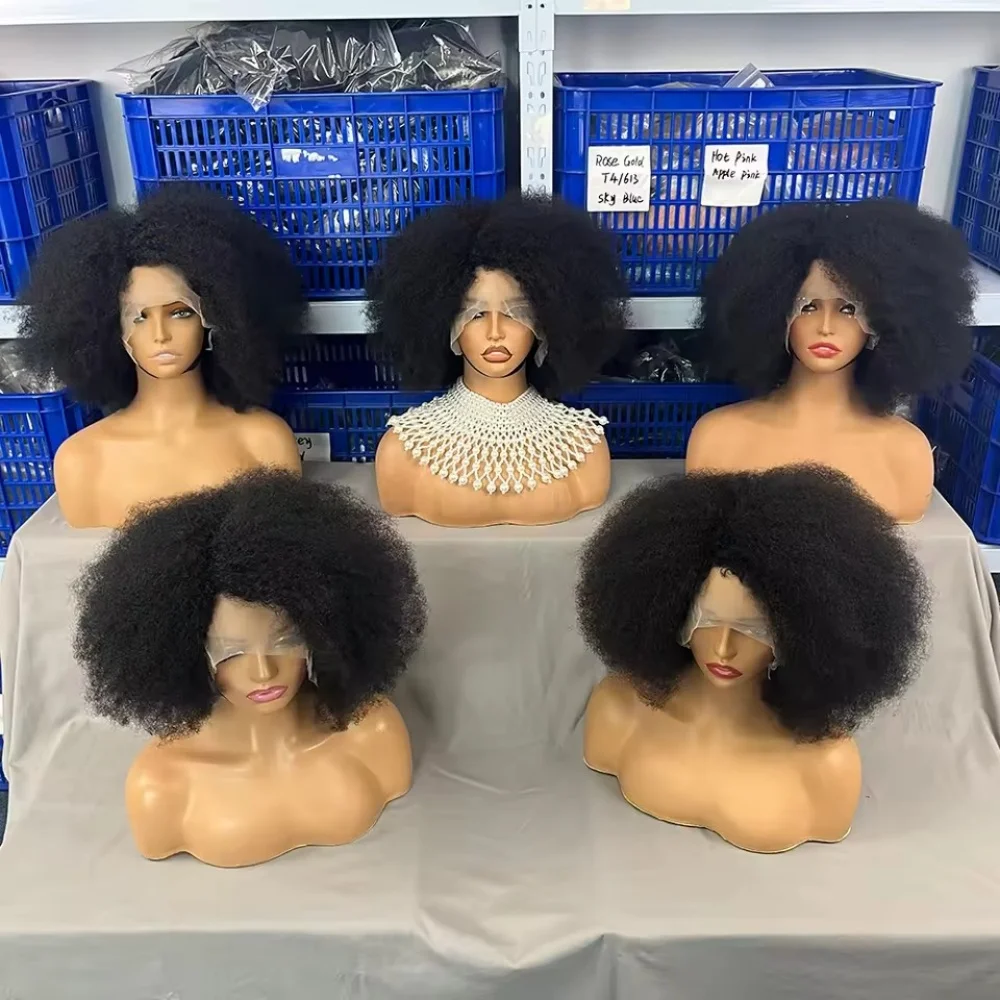 250-density-afro-wigs-for-black-women-kinky-curly-lace-front-wig-afro-short-bob-human-hair-wig-13x5x2-lace-natural-hairline