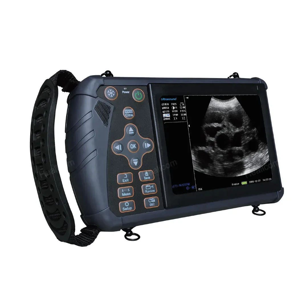 

Veterinary Diagnosis Equipment Portable B/W Cattle Dog Ultrasound Machine for Animal