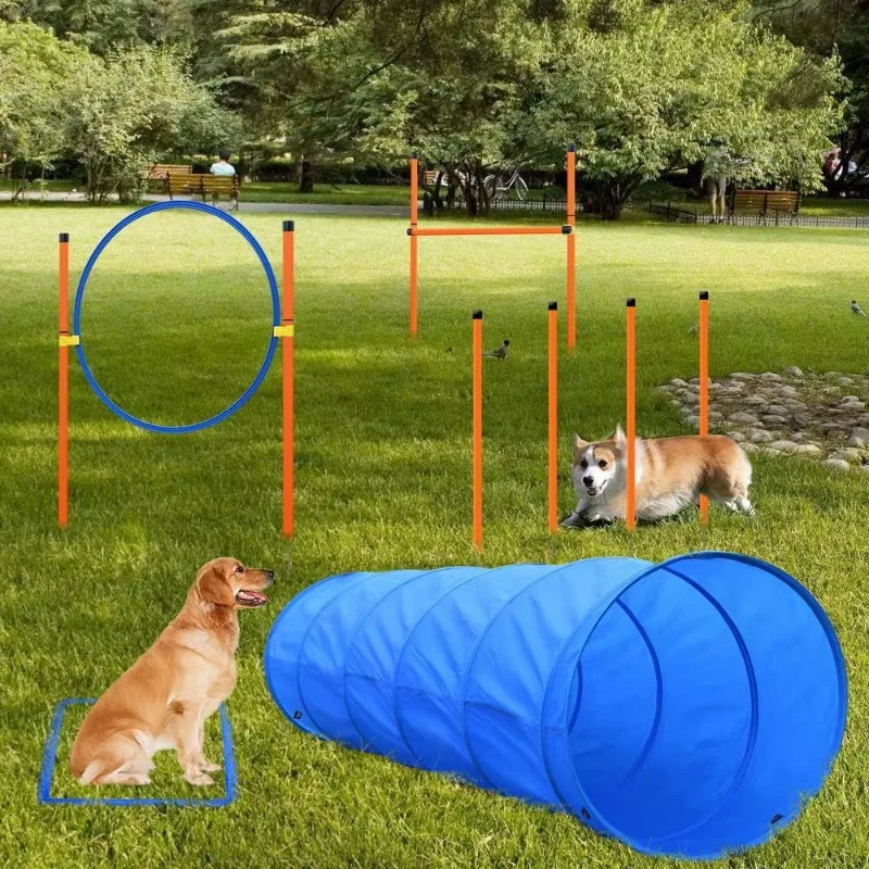 ZA001 Outdoor Pet Training Equipment Custom Weight Dog Agility Training Including Backyard Tunnel Jump