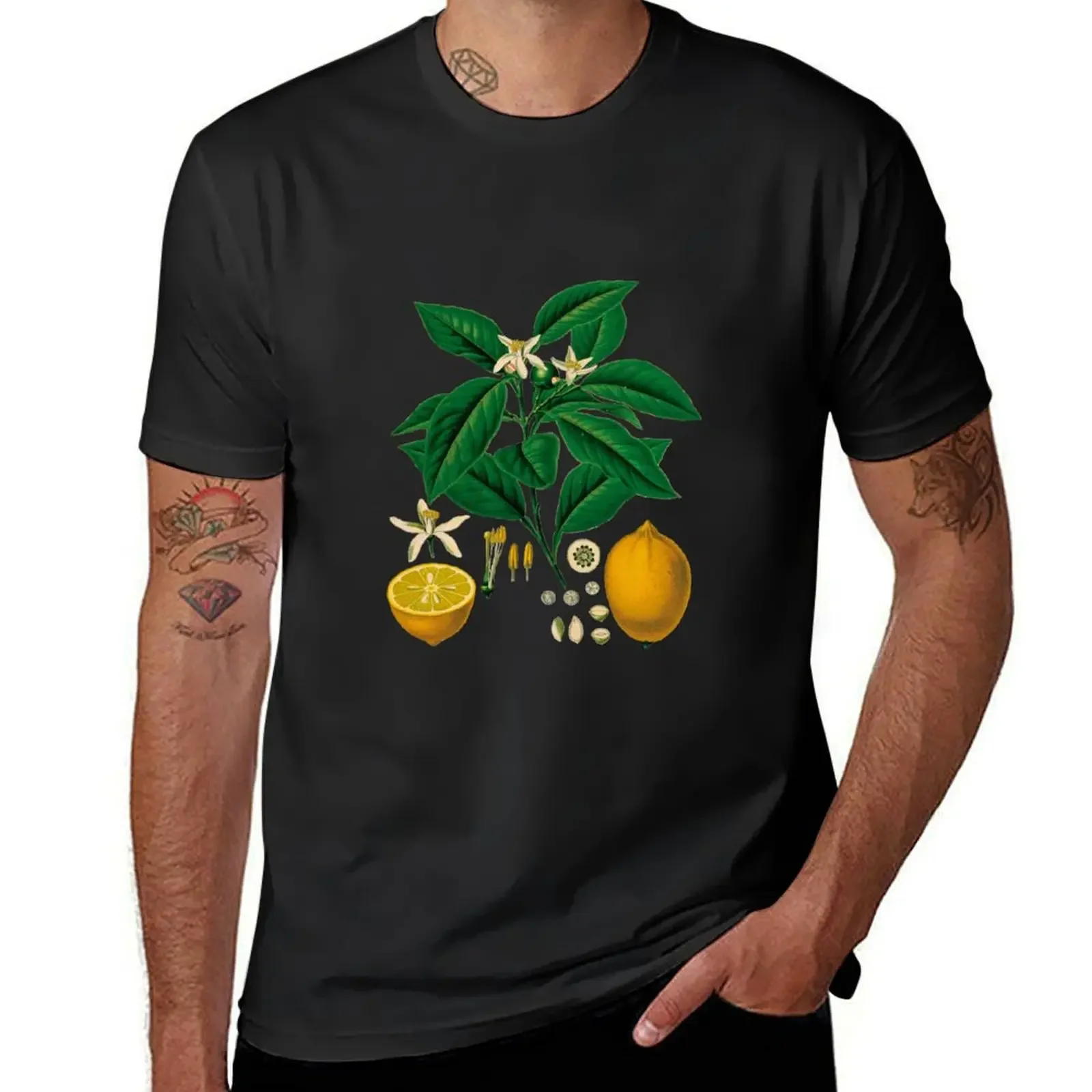 FF - Vintage - Camiseta de limones en blanco figuras de anime ropa de hombre