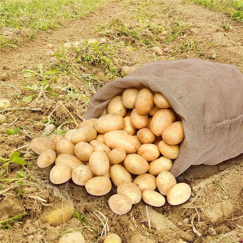 Grands sacs en toile de jute robustes, 4 pièces, sacs de rangement de pommes de terre en Jute marron avec cordes de 32.8 pieds, sacs de pommes de terre réutilisables