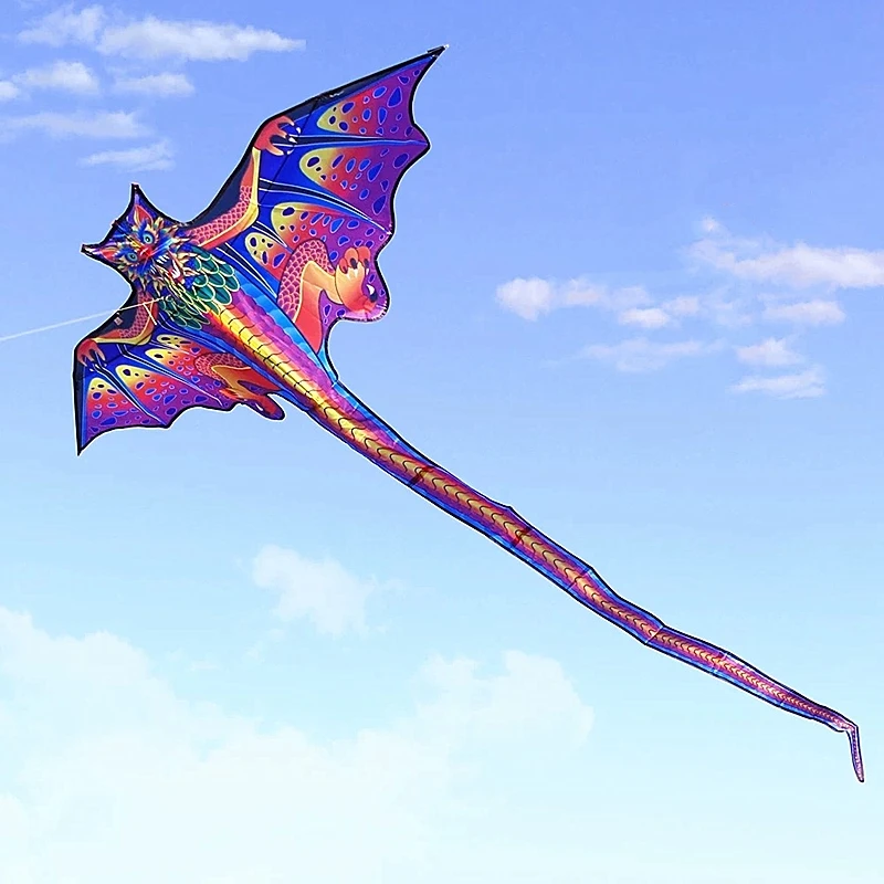 شحن مجاني طائرة ورقية التنين بالجملة ألعاب طائرات ورقية للأطفال طائرة ورقية صينية تقليدية طائرات ورقية دراشن فليجين إروشسين طائرة ورقية عملاقة