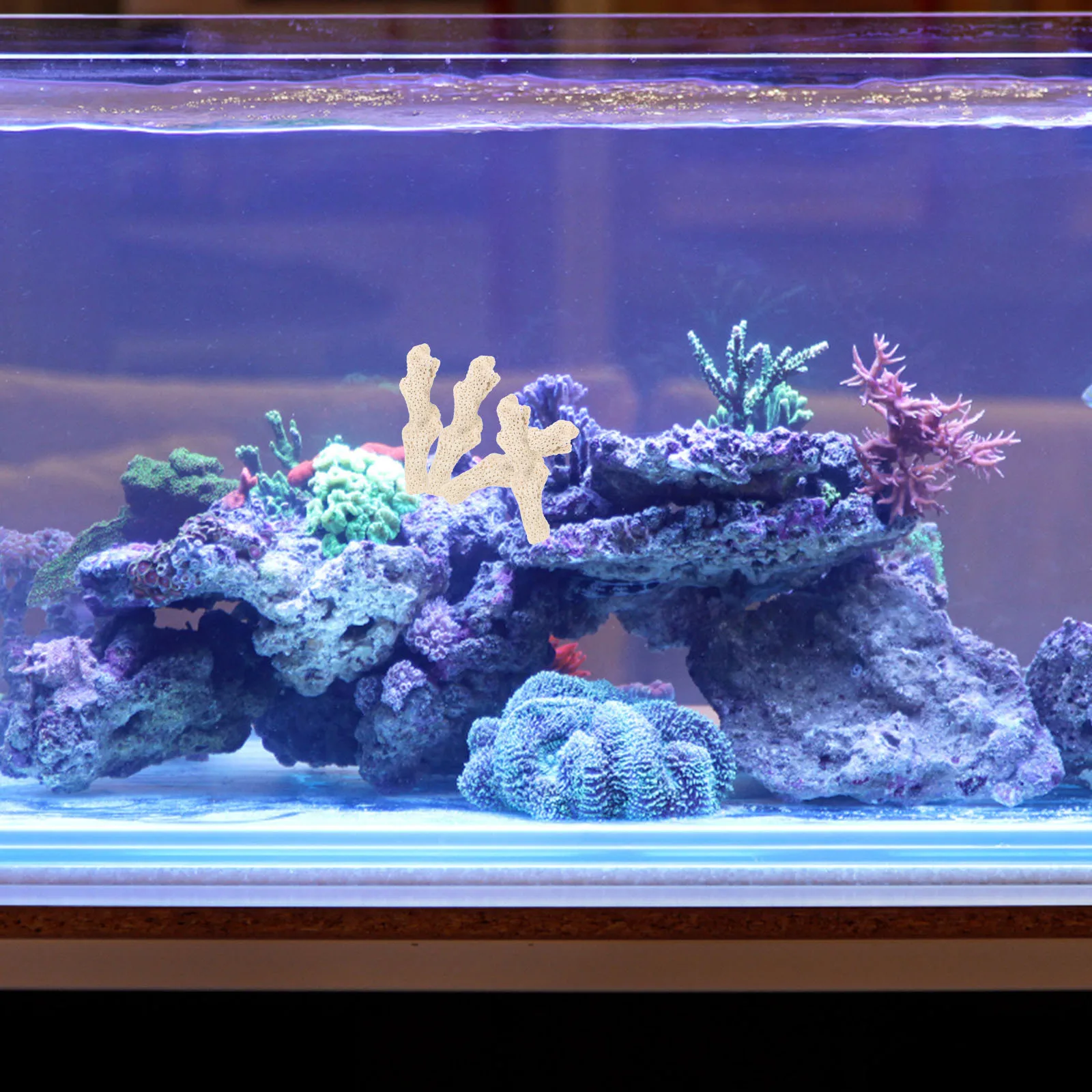 1 مجموعة المرجان خزان الأسماك تصفية وسائل الإعلام المرجان الطبيعي العظام شبكة حوض السمك الركيزة بركة تصفية قابلة لإعادة الاستخدام وسائل الإعلام خزان الأسماك العرض #3