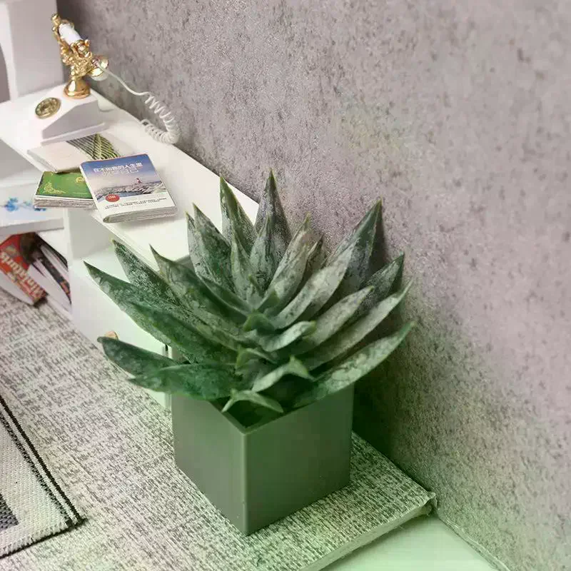 نبات الصبار المصغر لتزيين بيت - مراجعة Aloe Vera Pot وسعره