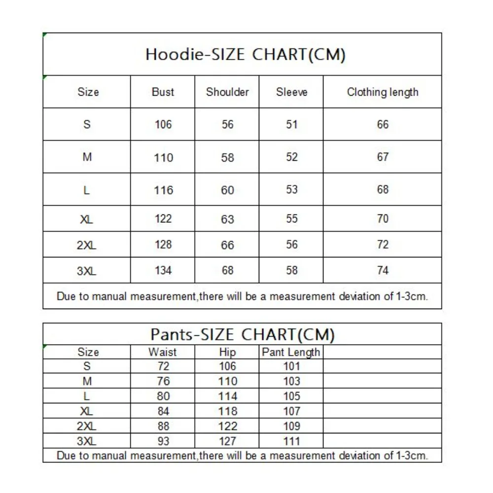 High quality pants Sets for Women Hoodie +pants Autumn Winter 2-Piece Outfits Basic blank Sweatshirt Sweatpant women Tracksuit view 5