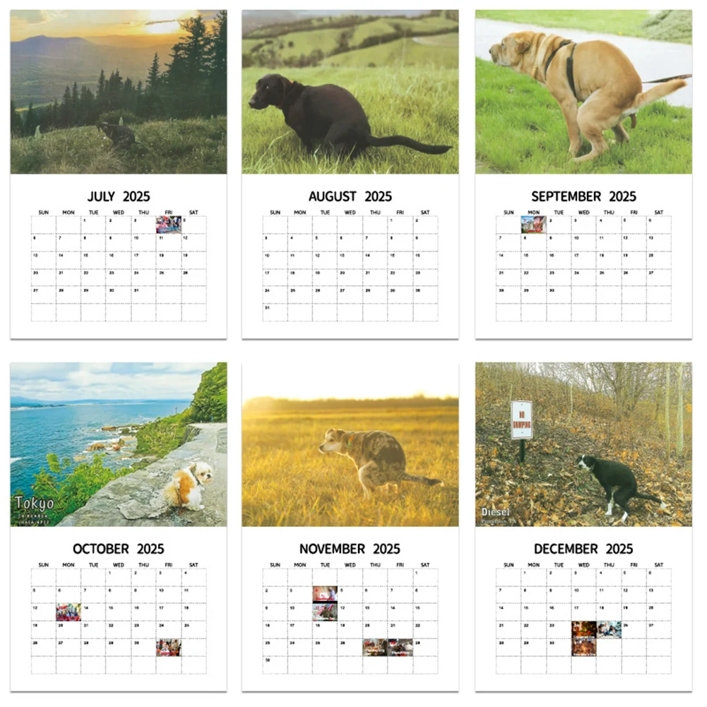 Tischkalender mit schönen Orten zum Kacken von Hunden, 2025, Monatsplaner, 12-Monats-Kalender, Tagesplaner, Kalender für das Heimbüro