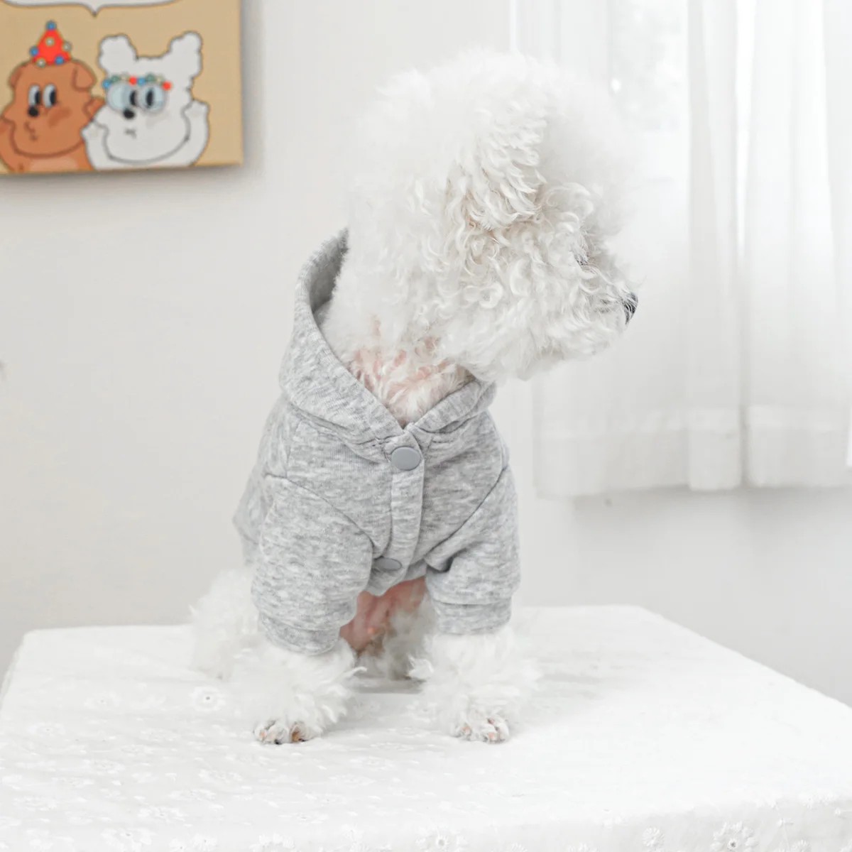 1PC Pet Clothing Spring and Autumn Velvet Grey Hat Bow Pocket Coat Suitable for Small and Medium sized Dogs