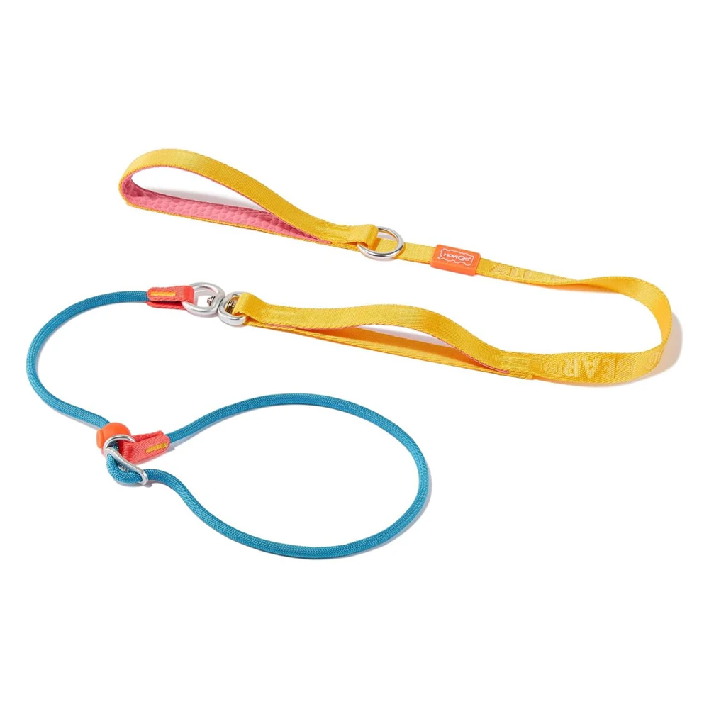 

Slip Lead Dog Leash with Double Handles Dog Training Leash Anti-Tangle Heavy Duty Leash and Collar No Pull Puppy Walking