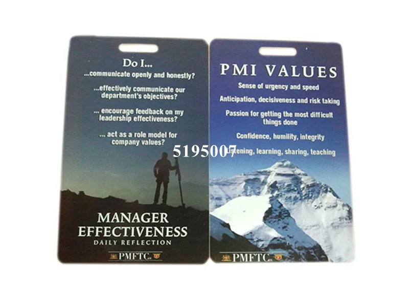 Custom Printing Plastic PVC Combo Card With Hole Punch