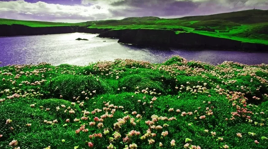 

JJRC Q157 1:12 4WD Rc Car with Led Lights 2.4G Radio Remote Control Princess Car Buggy Off-Road Truck Toy Gifts for Boys Girls