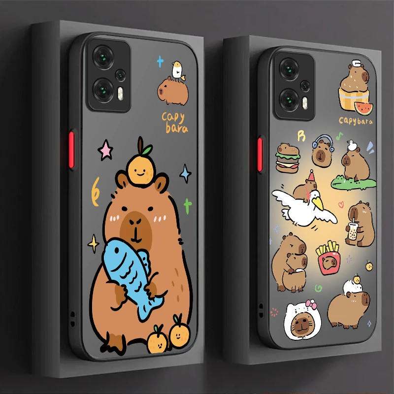 Lovely Capybara Pho… - image