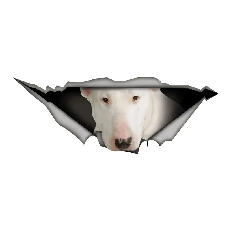 

DK557# White Bull Terrier Car Stickers Scratch Blocking Self-Adhesive Waterproof Decal, Used for Car, Laptop, Motorcycle, Van, R