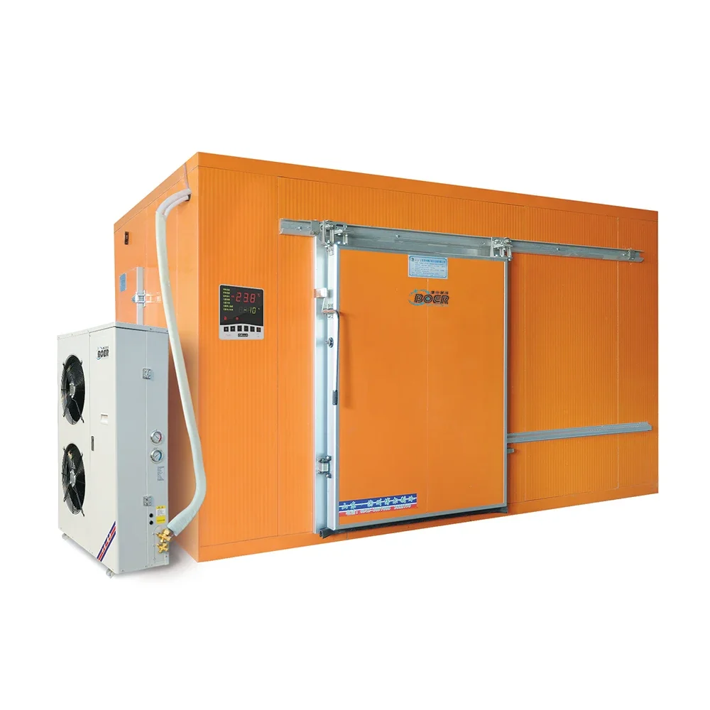 Energy-saving and silent cold storage room for fruits or Vegetables storage