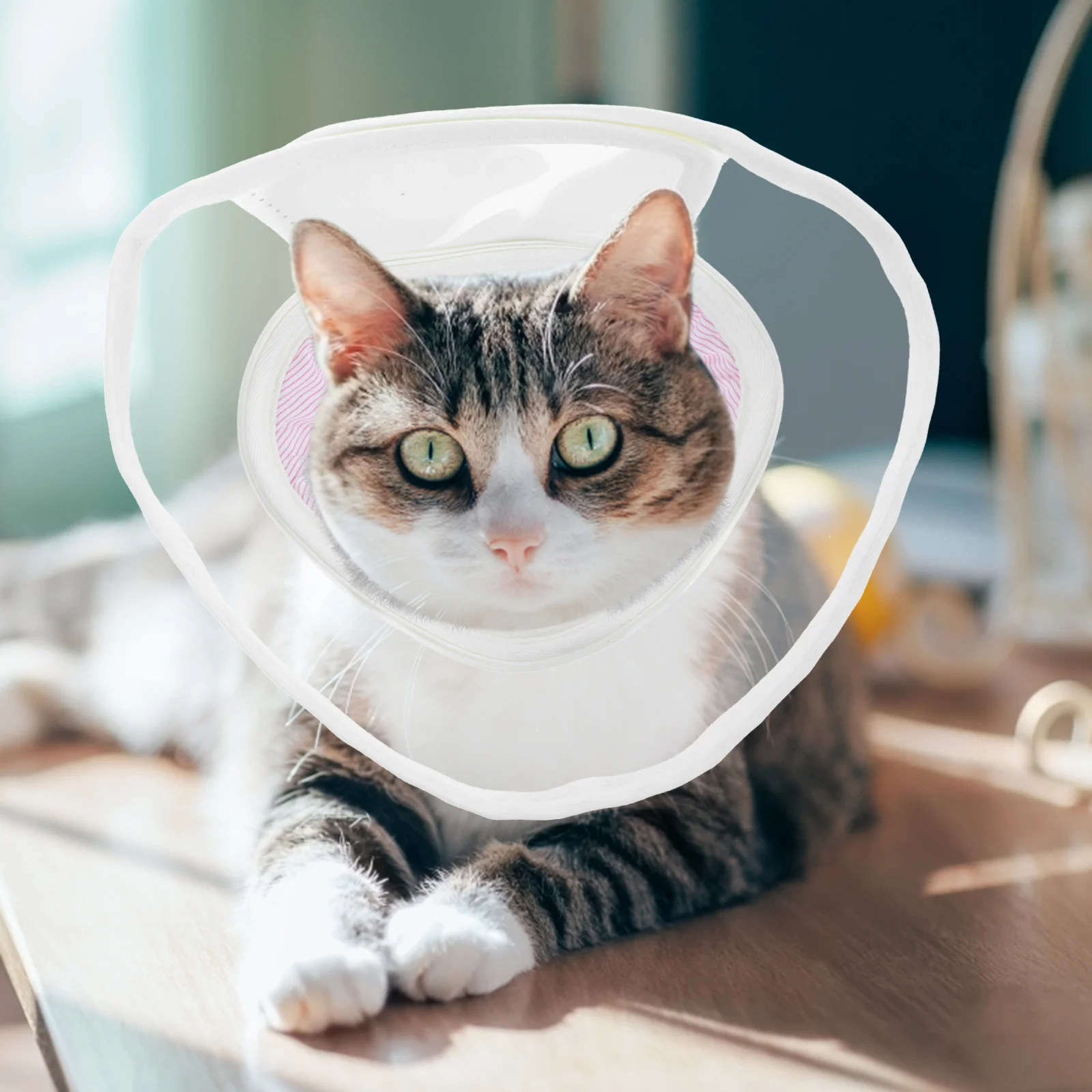 

Soft PVC Pet Recovery Collar for Cats and Dogs Post Surgery Anti Scratch Cone Red