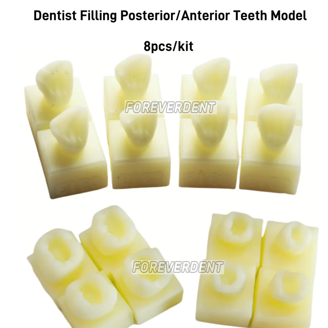 

Dental Anterior Posterior Student Training Test Model Practise Composite Resin Filling Teeth Jaw Dentistry Equipment 8pcs/Kit