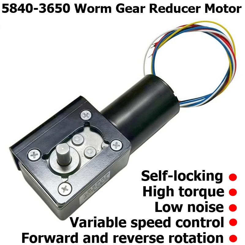 5840-3650 Brushless Motor Worm Gear DC Speed Reducer High Torque Low Speed Motor Pulsed Self-Locking Brake