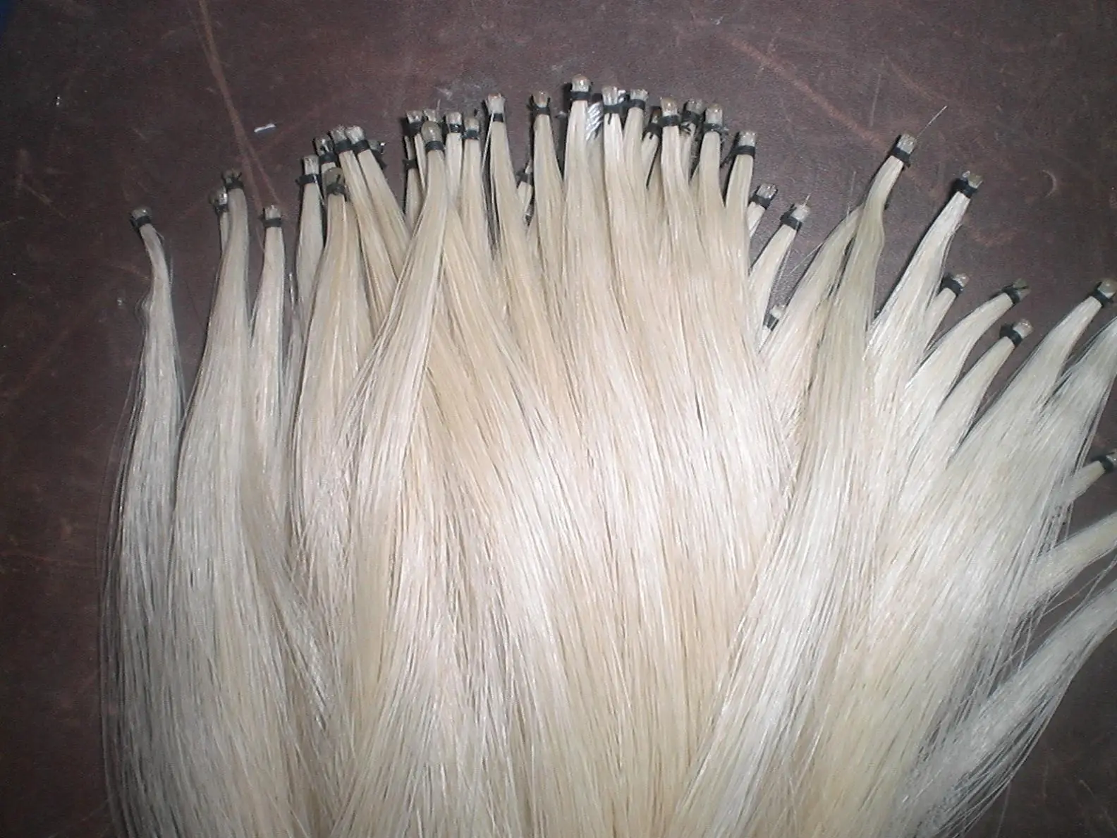 10 Hanks Quality Mongolia Stallion Bow hair 6gram/hank in 32 inches