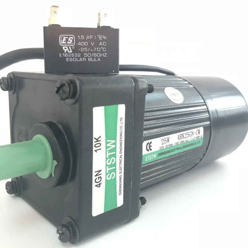 자기 브레이크가 있는 25W AC 모터 단상 220v 50rpm