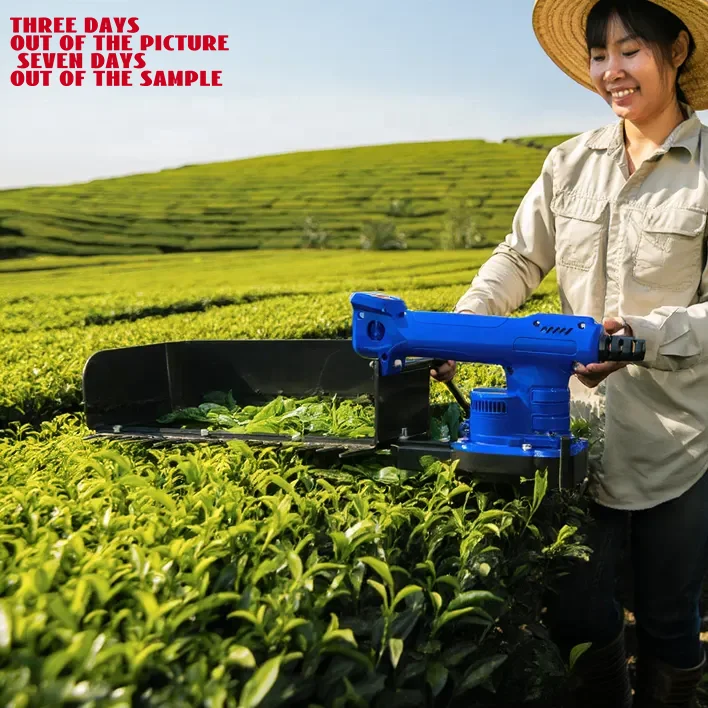 

Производитель поставляет легкую, энергоэффективную, профессиональную, высокопроизводительную машину для сбора чайных листьев.