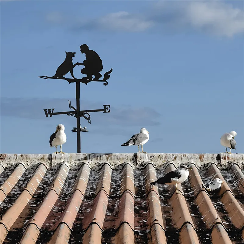 الفولاذ المقاوم للصدأ الديك Weathervane الطقس ريشة ساحة حديقة الحظيرة حلية Collies تسليط عدة الطقس دوارات الأسطح دروبشيبينغ