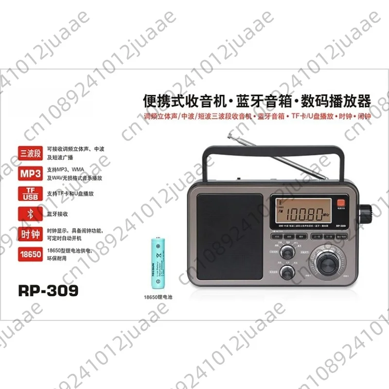 RP-309 Portable DSP Radio – Bluetooth Speaker & Digital Player