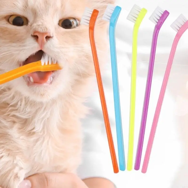 68UC Cepillo dientes gatito Ceptor dientes mascota Cepillo para perros Cepillo dientes dientes Capacidad
